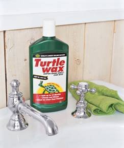 C:\Users\HottenrothFD\Pictures\TURTLE.jpg